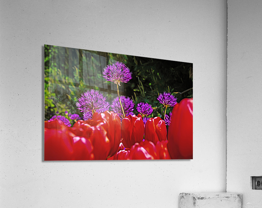 Flowers of color Acrylic Print