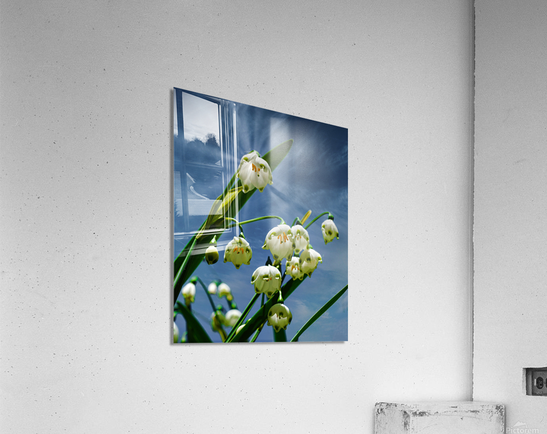 Flower bells are ringing Acrylic Print