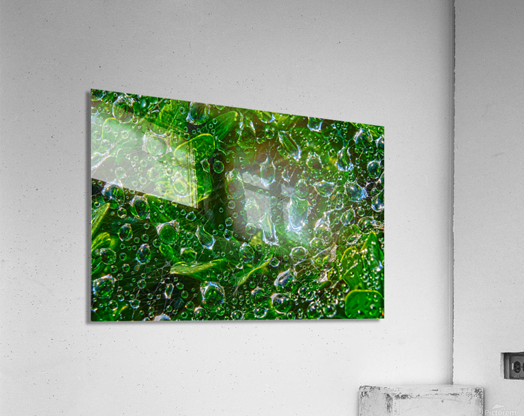 Water Drops Acrylic Print