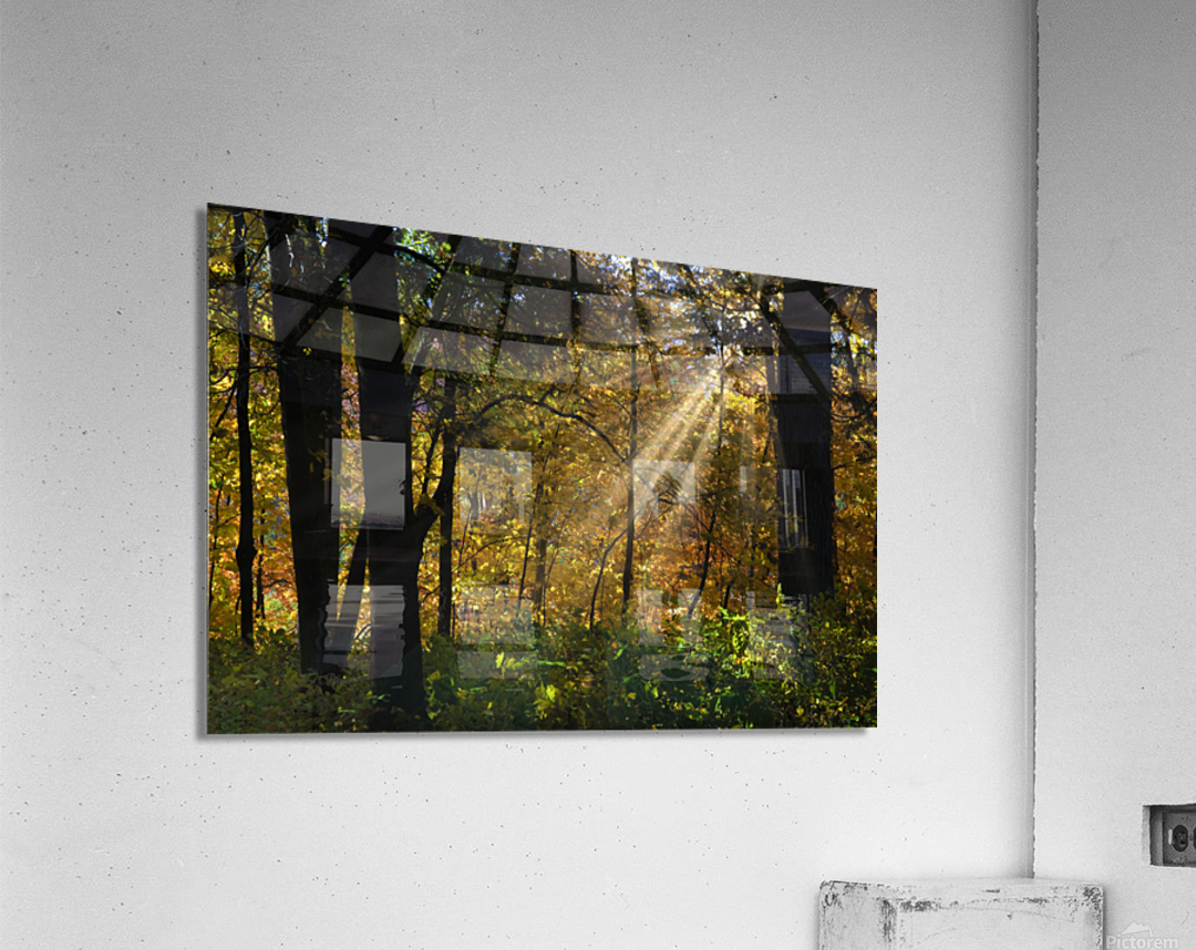 Falling leaves and beams   Acrylic Print 