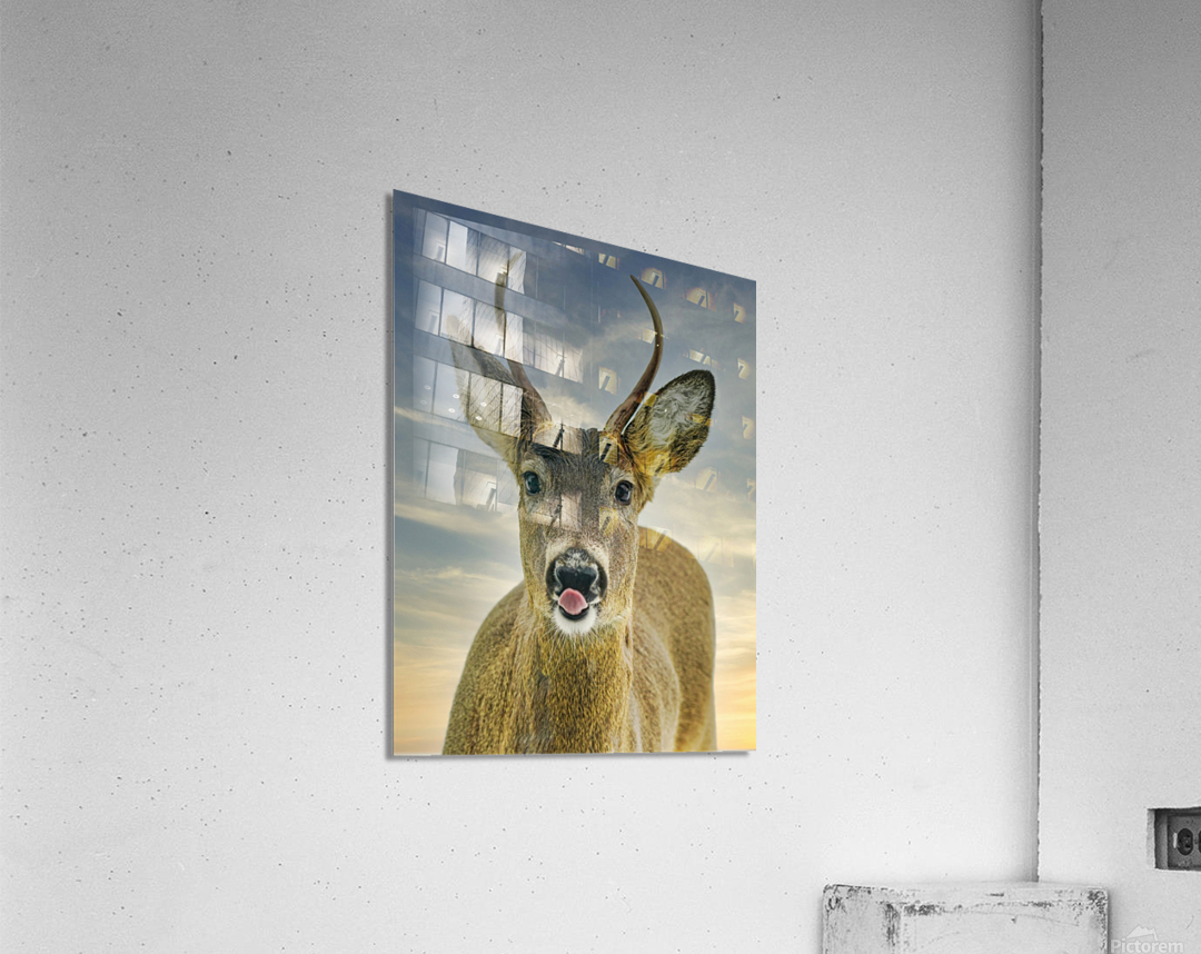 Feed me   Acrylic Print