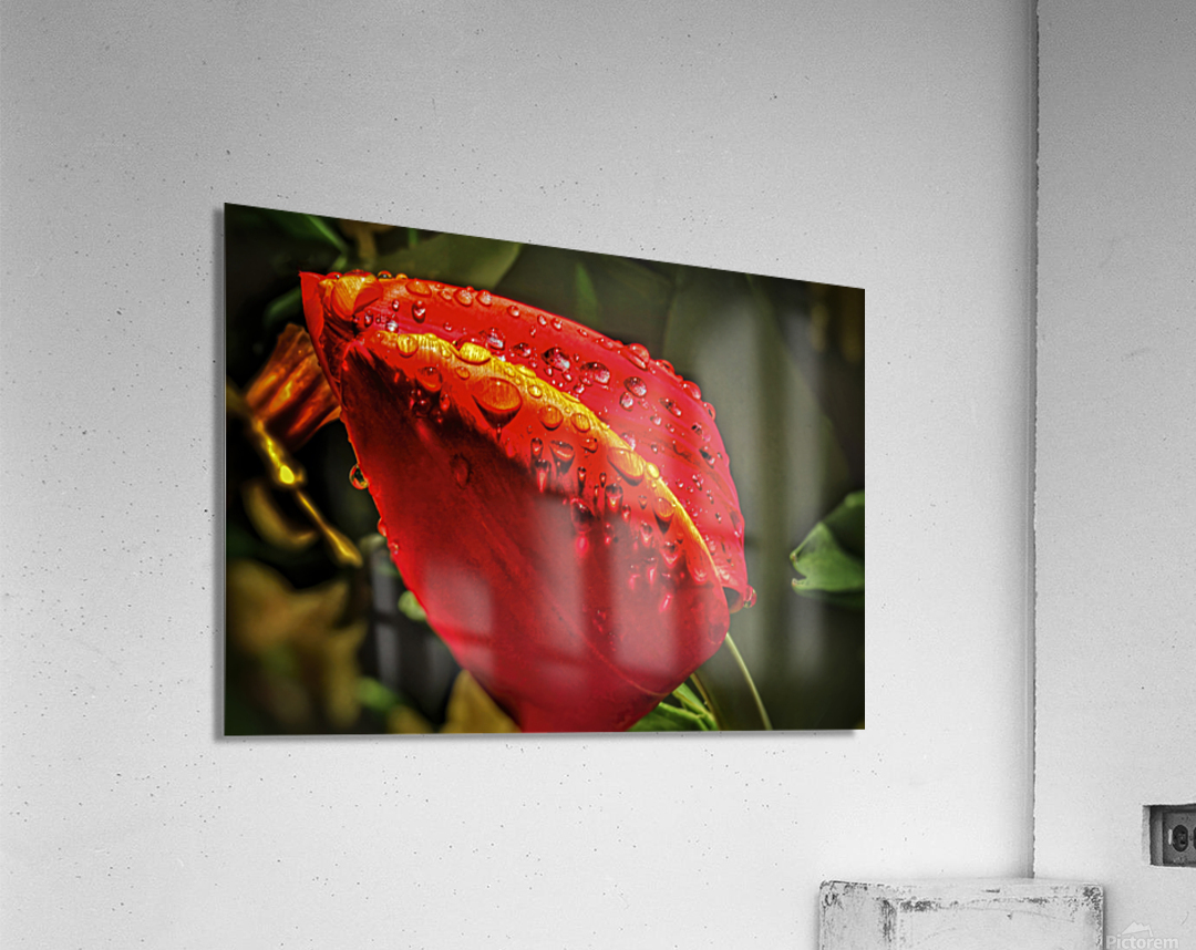 1382 Kuchenhof Acrylic Print