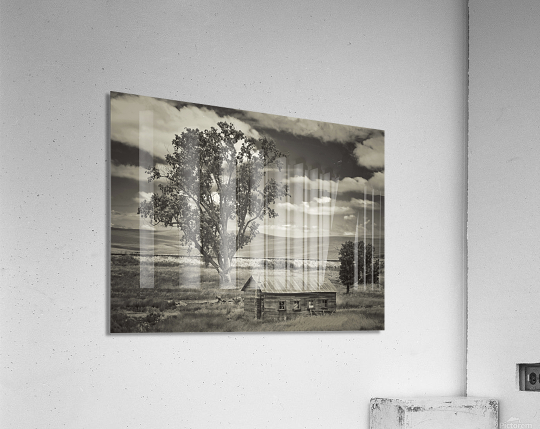 Washington farm plot Acrylic Print