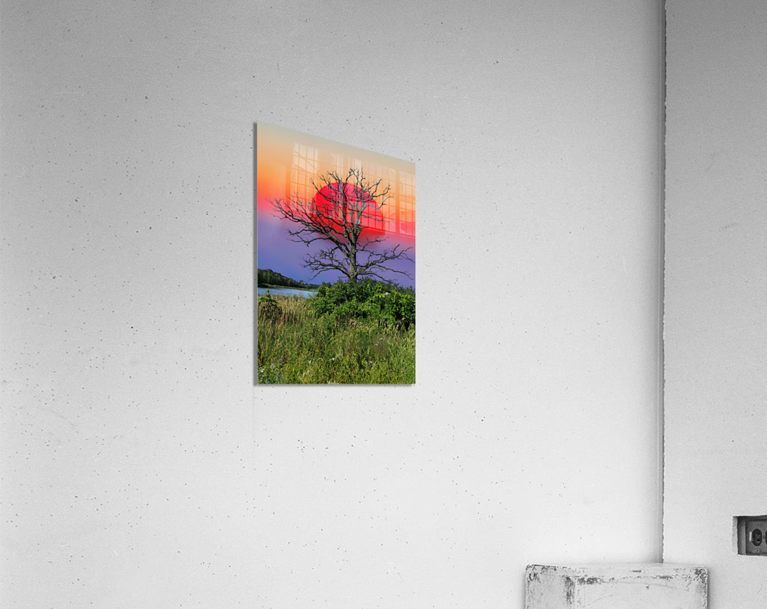 Sun is up  Acrylic Print