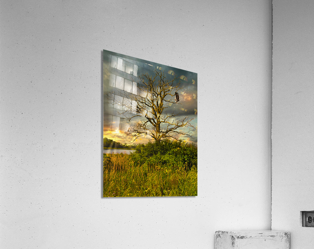 The eagle has landed Acrylic Print