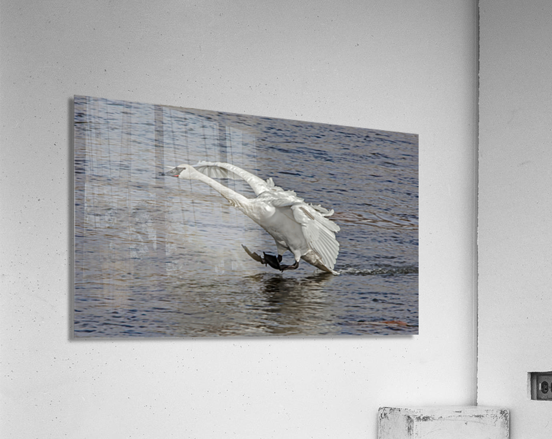 Three point landing  Acrylic Print