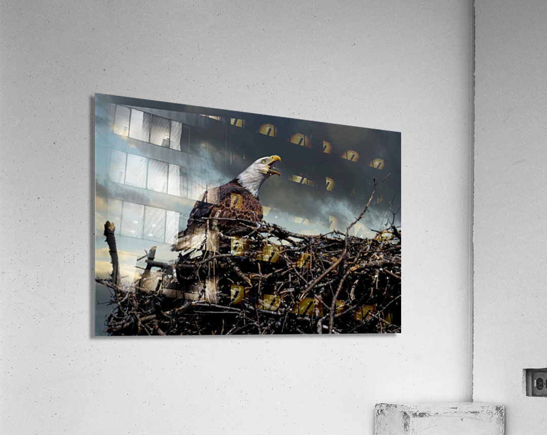 Eagle on nest Acrylic Print