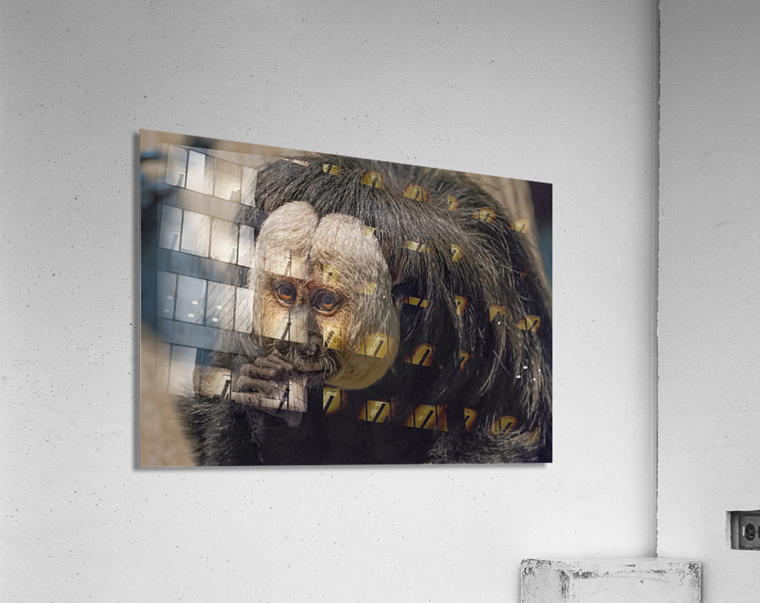 Speak no evil  Acrylic Print