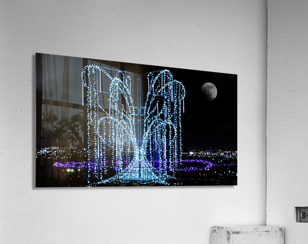 Aboretum Winter Lights Acrylic Print