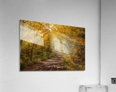 Sun Beams in Fall Color  Acrylic Print