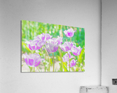 Purple tulip fantasy  Acrylic Print