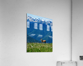 Olympic mountain range  Acrylic Print