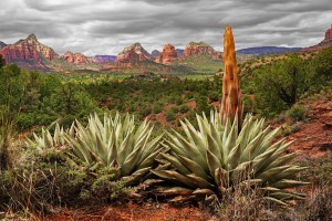 Storm over Sedona