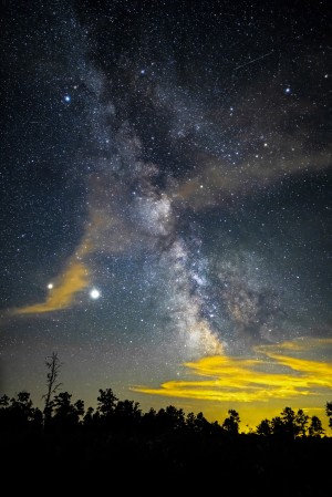 Star Bright Star Light