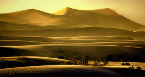 Mesquite Sand Dunes