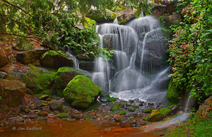  Arboretum Falls