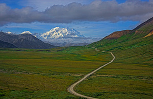 Denali park road