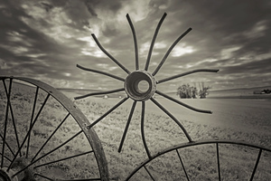 Washington farm wheel