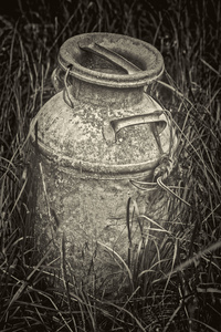Metal milk can