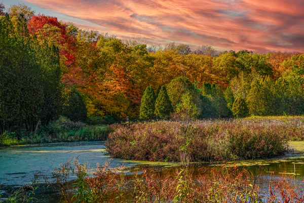 Minnesota Fall Waters Digital Download