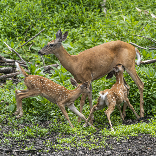 Time for lunch by Jim Radford