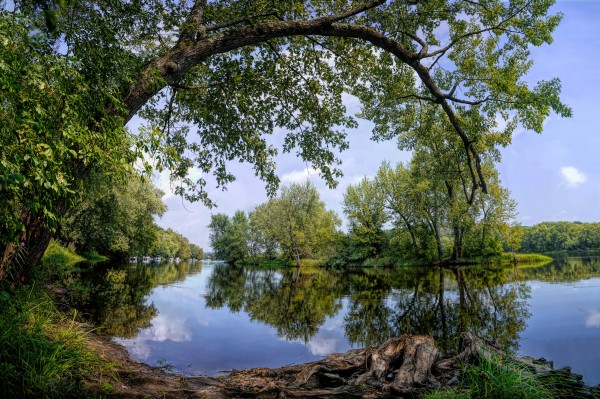 Calming Waters by Jim Radford