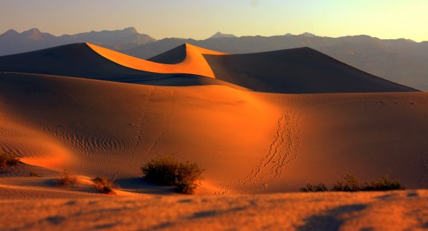 Mesquite Dunes at Dusk by Jim Radford