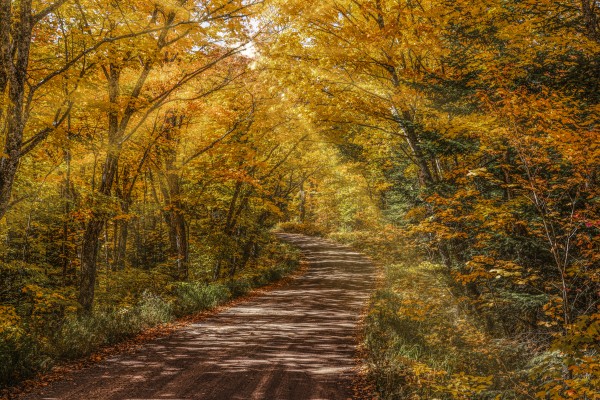 Sun Beams in Fall Color by Jim Radford