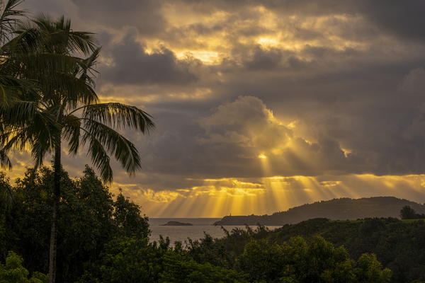 Good Morning Sunshine by Jim Radford