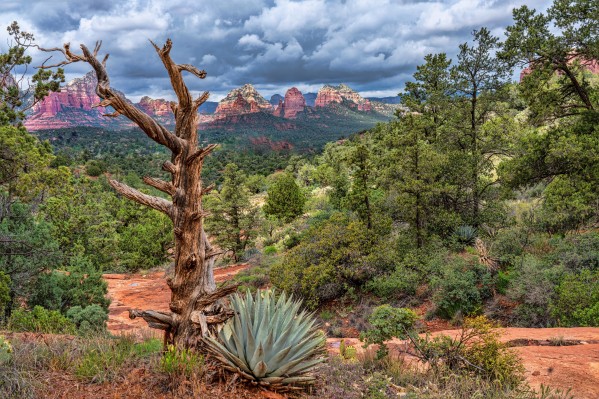 Sedona Overlook by Jim Radford