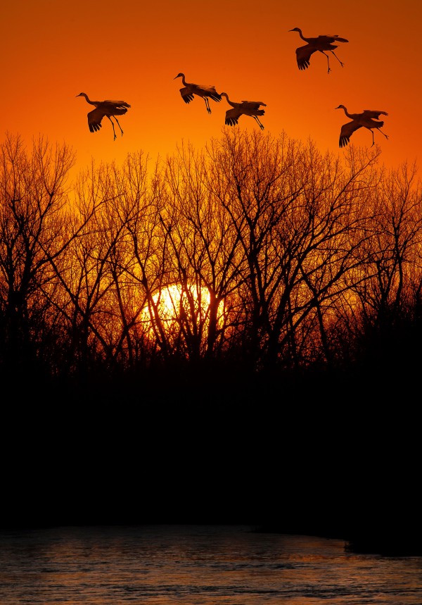 Dawn patrol over the Platte by Jim Radford
