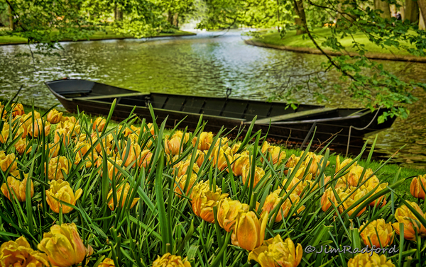 Kuekenhof Gardens Holland Digital Download