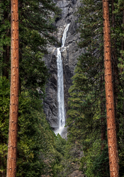  Yosemite Lower Falls by Jim Radford