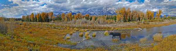 The Snake River near the Tetons by Jim Radford