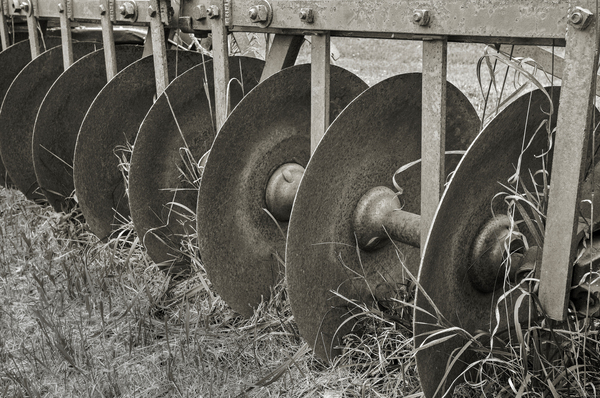 The farm cultivator by Jim Radford