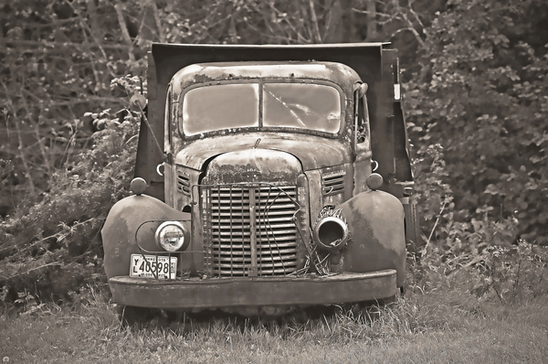 International Harvester pickup  by Jim Radford