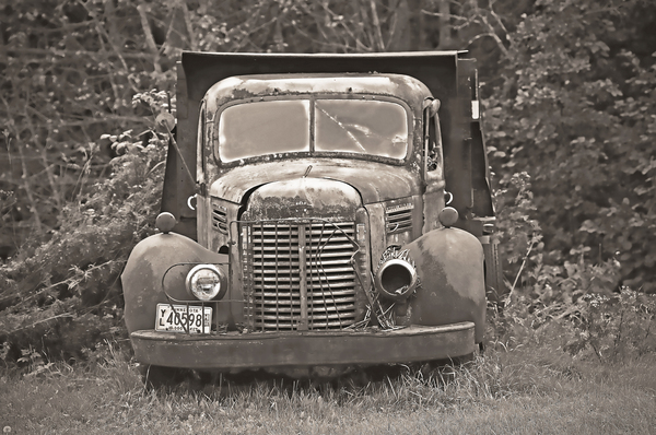 International Harvester pickup  Digital Download