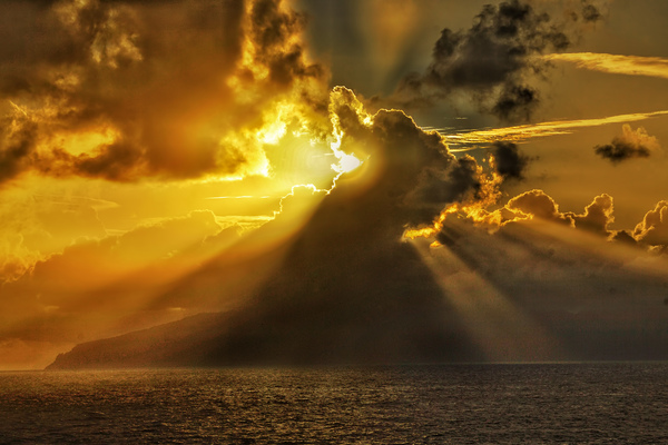 Morning in Tahiti Téléchargement Numérique