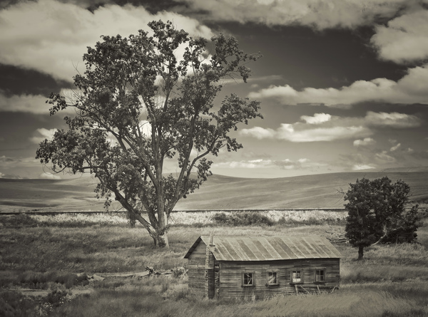 Washington farm plot by Jim Radford