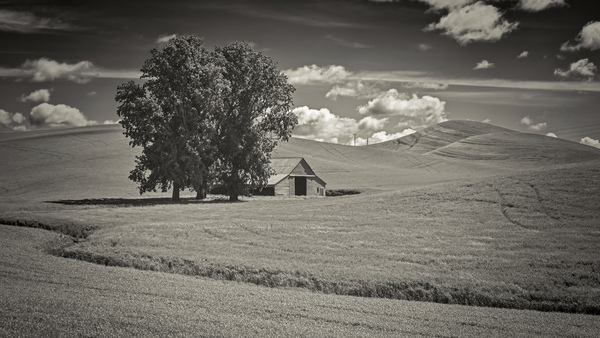 Washington farm house Digital Download