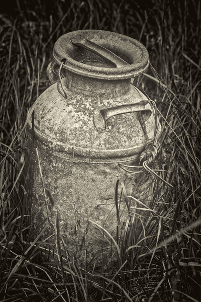 Metal milk can by Jim Radford