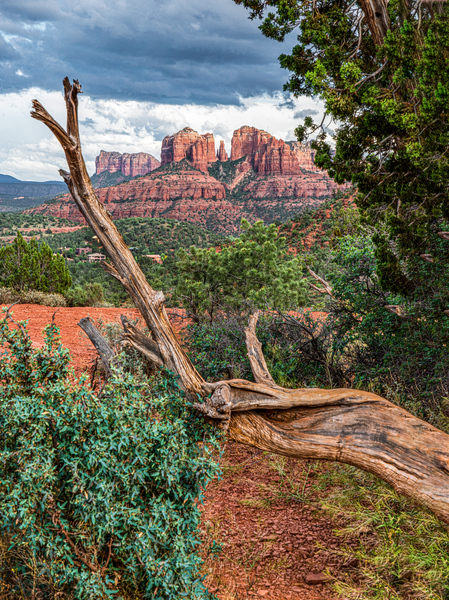 Scenic Sedona by Jim Radford