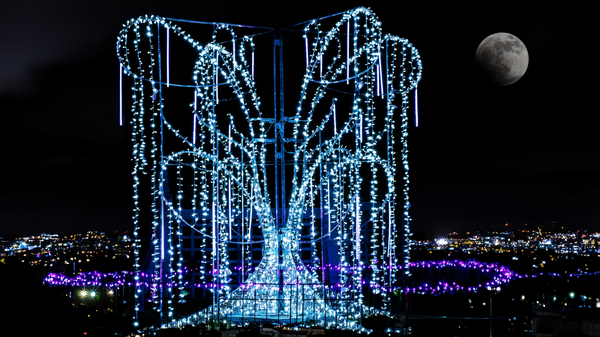 Aboretum Winter Lights by Jim Radford