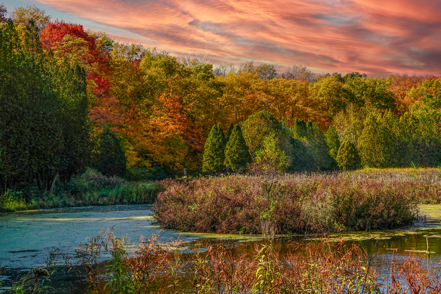 Minnesota Fall Waters  Print