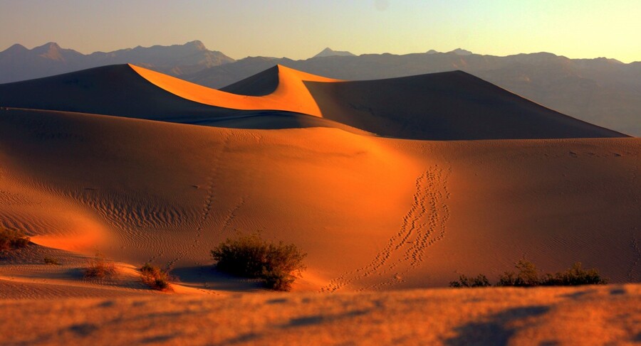 Mesquite Dunes at Dusk  Print