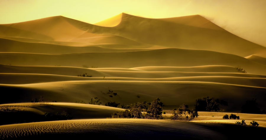 Mesquite Sand Dunes  Print