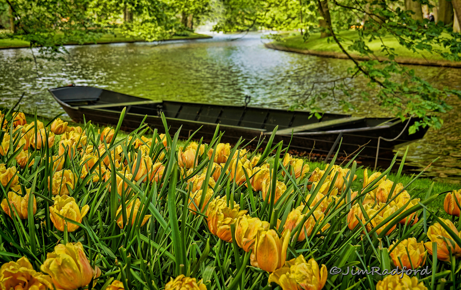 Kuekenhof Gardens Holland  Print