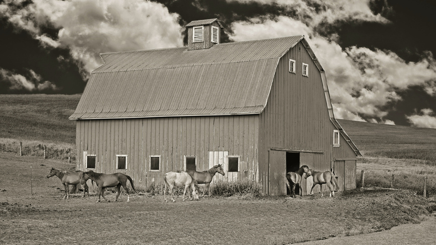 Washington horse barn  Imprimer