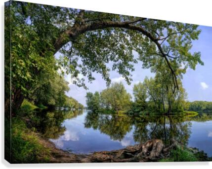 Calming Waters  Canvas Print