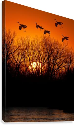 Dawn patrol over the Platte  Canvas Print